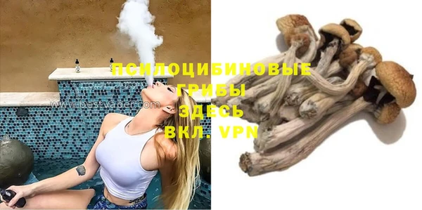 apvp Ростов