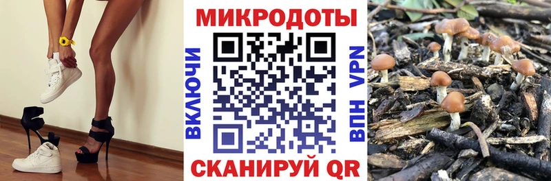 Псилоцибиновые грибы MAGIC MUSHROOMS  Барабинск 