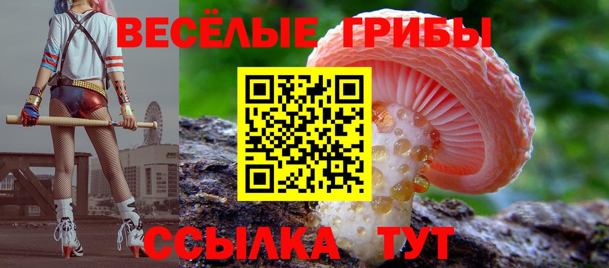 Галлюциногенные грибы Magic Shrooms Барабинск